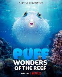 ดูหนังออนไลน์ฟรี Puff Wonders of the Reef (2021) พัฟฟ์ มหัศจรรย์แห่งปะการัง